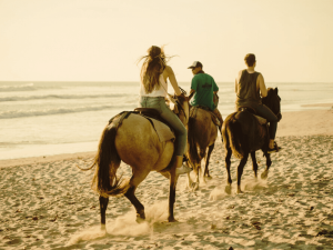 Horse Back Riding at Santa Teresa Beach