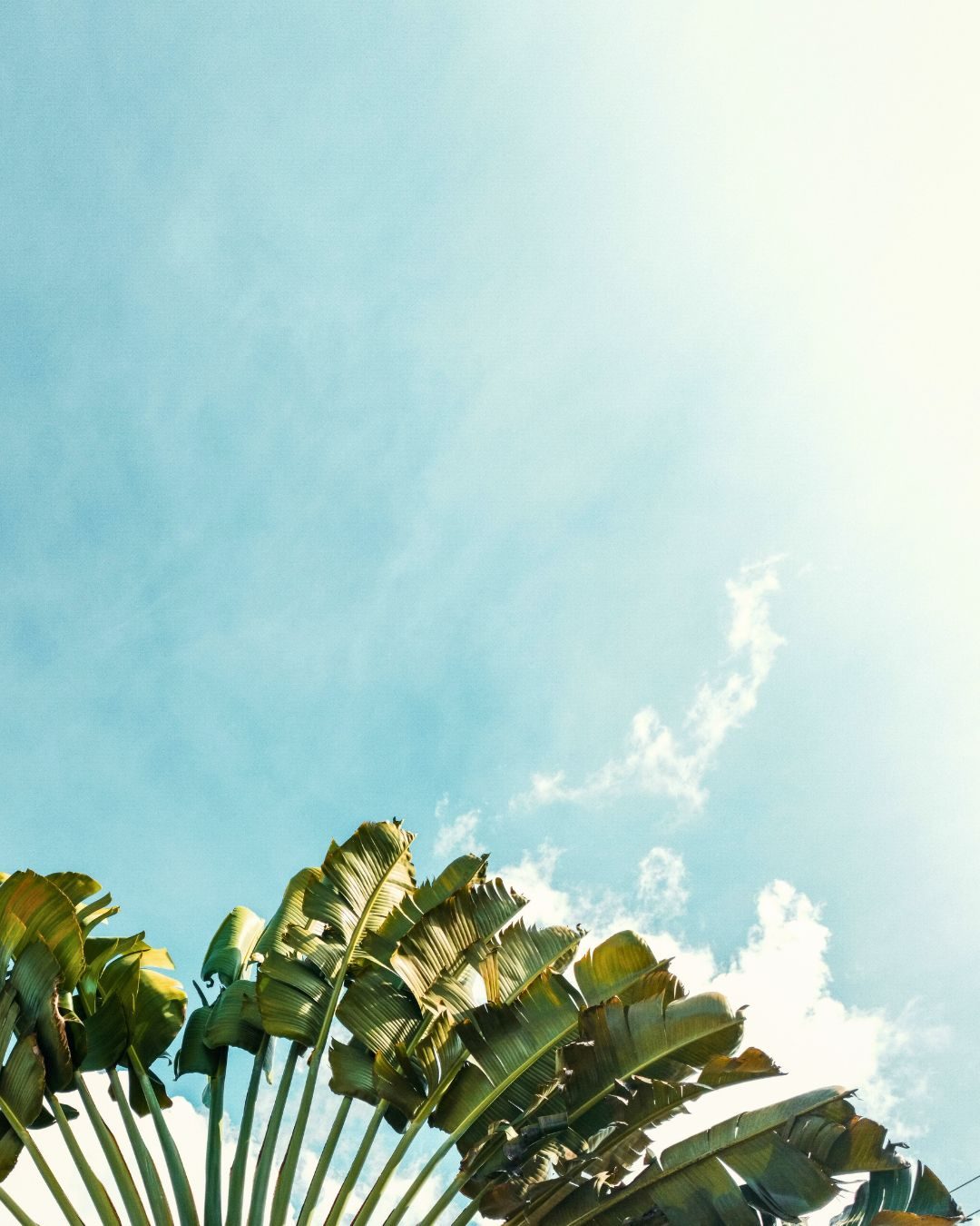 Vista del Alma Boutique Resort, luxury hilltop villas with ocean view in Santa Teresa