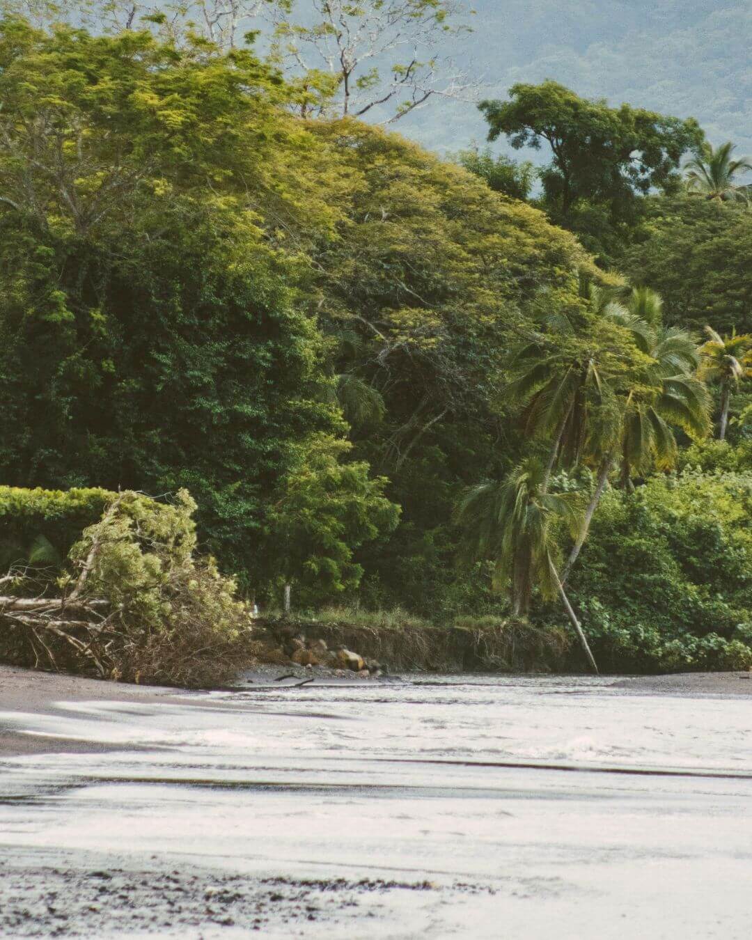 Boutique lodge with tropical bungalows walking distance to the beach – Griss Lodge & Spa Santa Teresa