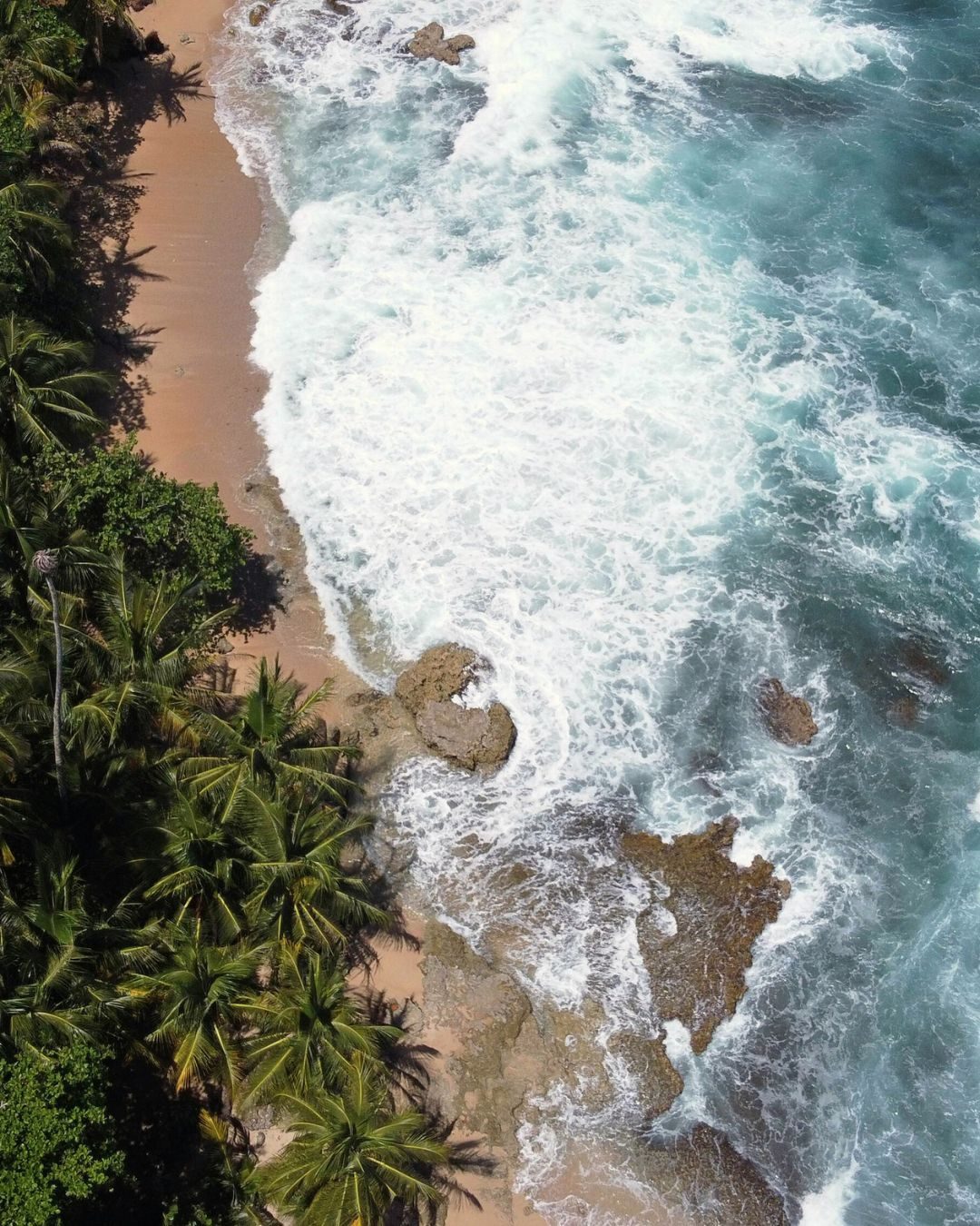 Beachfront wellness hotel with oceanfront yoga shala – Hotel Tropico Latino Santa Teresa